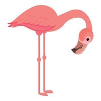 lindo icono de flamenco vector de dibujos animados. pájaro rosa