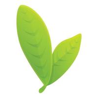 Bergamot green leafs icon, cartoon style vector