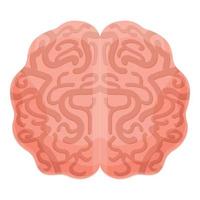 Human brain cerebellum icon, cartoon style vector
