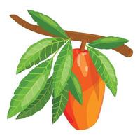 vector de dibujos animados de icono de rama de mango. hoja tropical