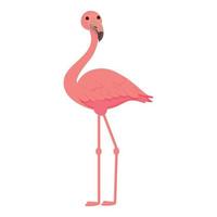 vector de dibujos animados de icono de flamenco de verano. ave tropical