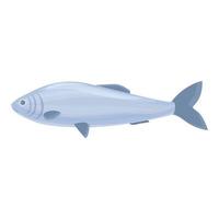 vector de dibujos animados de icono de pez arenque. mariscos bálticos