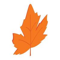 Maple leaf icon, isometric 3d style vector