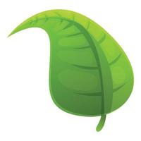 Hibiscus leaf icon, cartoon style vector