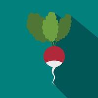 Radish icon in flat style vector