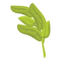 vector de dibujos animados de icono de planta de romero. hoja de orégano