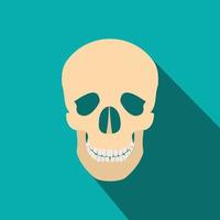 Human skull flat icon with shadow vector