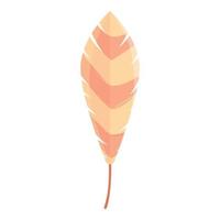 Shamanic feather icon, cartoon style vector