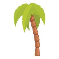 Beach palm icon, cartoon style vector