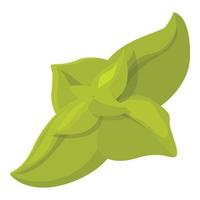 vector de dibujos animados de icono de planta de orégano. hierba de eneldo