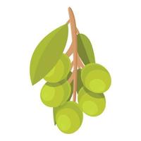 Tree olive branch icon cartoon vector. Virgin plant vector