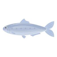 Marine sardine icon cartoon vector. Fish seafood vector