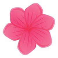 Pink plumeria icon, cartoon style vector