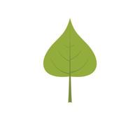 Poplar leaf icon, flat style vector