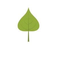 icono de hoja de álamo, estilo plano vector