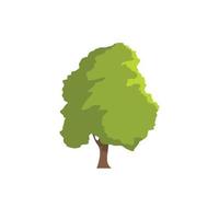 icono de árbol de cedro, tipo plano vector