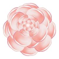 Light pink camellia icon, cartoon style vector