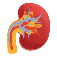 Dialysis kidney icon, cartoon style vector