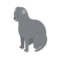 Scottish fold cat icon, isometric 3d style vector