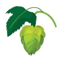 Branch of hops cartoon icon vector