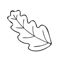 Hand drawn sketch leaf isolated on white background vector