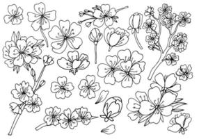 Set of isolated sakura styles. Cute hand drawn flower vector illustration in black outline and white plane on white background.