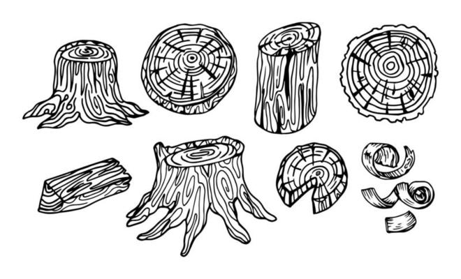 Hand drawn lumber. Sketch wood logs, trunk and planks. Stacked tree branches, forestry construction material vintage set