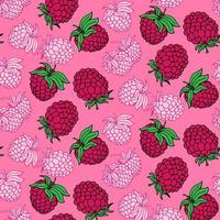 Seamless pattern with hand drawn raspberries isolated on pink background vector