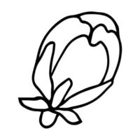 Sketch of spring flowers of quince, almond, apple tree branches with buds and flowers. Hand draw botanical doodle vector illustration in black contrast with white fill.