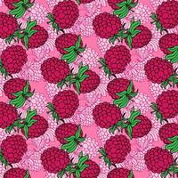 Pattern and background with fresh raspberries on pink background. For wrapping, fabric, wallpaper. vector