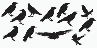 la ilustración de vector de cuervo en color blanco y negro se puede utilizar para la decoración de fondo eps10