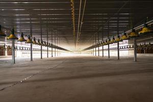 Empty chicken farm building with feeders, Heaters and poultry watering system photo