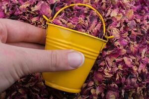 Little bucket on a background of dried  rose petals photo
