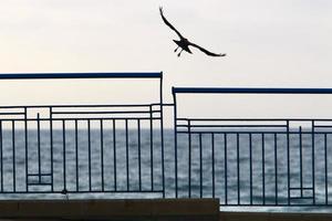 valla de seguridad en la costa mediterránea. foto