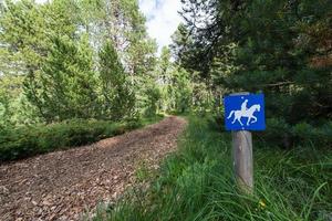 trail for horses photo