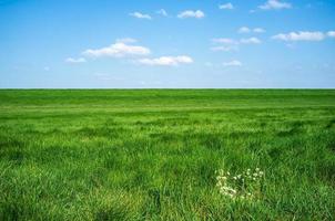 Rural landscape.Field with green fresh grass against a blue sky and white clouds, on a spring sunny day. Beautiful picture. photo