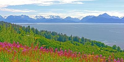 Wildflowers and Mountains by and Ocean Bay photo