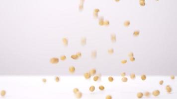 Front view of soybeans falling on white background in slow motion. video