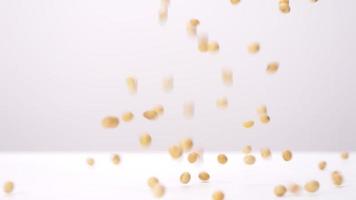 Front view of soybeans falling on white background in slow motion. video