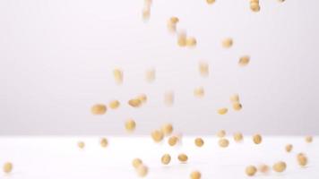 Front view of soybeans falling on white background in slow motion. video