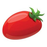 Tomato icon, cartoon style vector