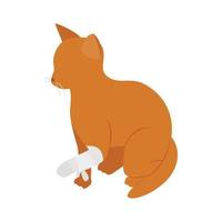 Cat with broken paw icon, isometric 3d style vector