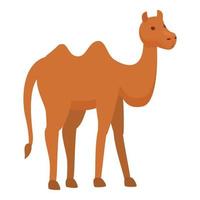Caravan camel icon, cartoon style vector