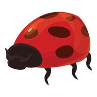 Small ladybug icon cartoon vector. Bug ladybird vector