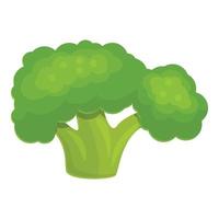 Eco broccoli icon, cartoon style vector