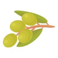 Green olives branch icon cartoon vector. Olive food vector