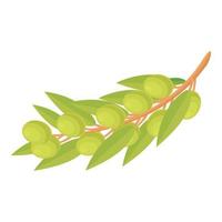 vector de dibujos animados de icono de producto de oliva. comida de aceite