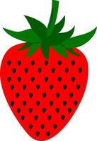 Hand drawn style drawing strawberry vector