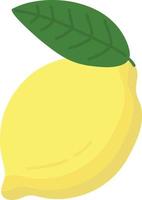 Hand drawn style fruit lemon vector