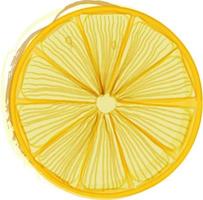 Hand drawn style fruit lemon vector